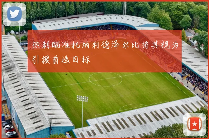 热刺瞄准托纳利德泽尔比将其视为引援首选目标