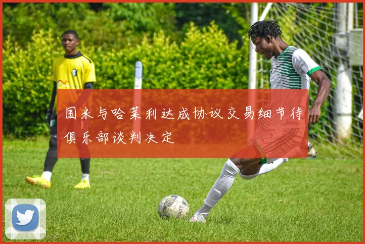 国米与哈莱利达成协议交易细节待俱乐部谈判决定