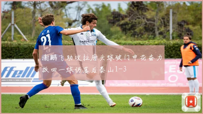 谢鹏飞助攻拉唐头球破门申花奋力扳回一球仍落后泰山1-3
