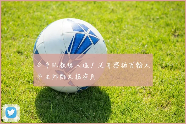 公牛队教练人选广泛考察杨百翰大学主帅凯文杨在列